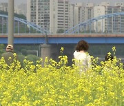 [날씨] 구름 많고 따뜻한 휴일...오후부터 내륙 '소나기'