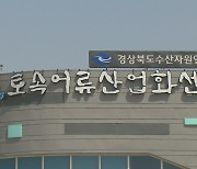 경상북도, 어린 민물고기 6만 마리 방류