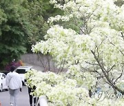 '초여름 성큼' 낮 최고 27℃에 오후부터 곳곳 소나기