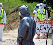 4년만에 돌아온 구제역, 해외 유입 가능성…축산물가 '경고등'