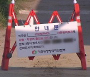 청주 이어 증평서도 구제역 확진…이달 들어 6건