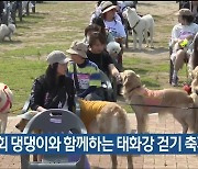 제1회 댕댕이와 함께하는 태화강 걷기 축제 열려