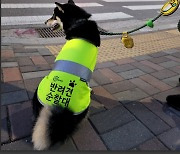 실종신고 장애인 찾아낸 반려견 순찰대···반려견과 견주에 표창