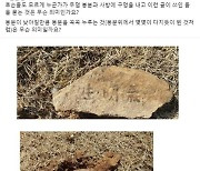 경찰, 이재명 부모 묘소훼손 혐의 4명 입건...“단순 지지자인 듯”