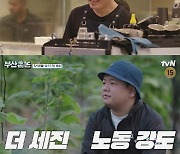 '부산촌놈' 이시언→곽튜브, 워홀 2일차 은퇴 선언?...업무 강도 '업그레이드'