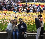 Canada Tulip Festival