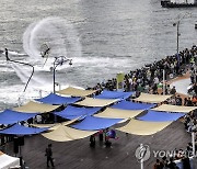 울산고래축제 '장생이 수상 쇼'