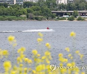 초여름을 보내는 각자의 방법