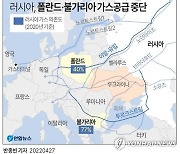 "G7·EU, 러 파이프라인 통한 가스수입 재개 금지키로"