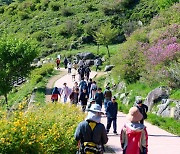 철쭉의 향과 자태에 반하다…산청황매산철쭉제 10만명 방문