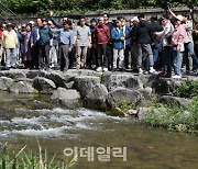 [포토]MB, 대표적 치적 '청계천' 산책 나서