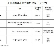 서울 연내 3만3000가구 분양…수도권 중심 분양시장 회복