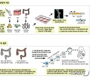 KAIST "정크 DNA, 노화·발암에 관여"