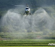 진천군 "벼 생육 중기 병해충 약제·공동 방제비 지원"