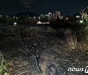 '은퇴 후 인지능력 저하에 스트레스'…부산 화명생태공원 연쇄 방화범 '집유'