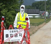 충북 증평에서도 구제역 확진...방역대 벗어나 '전국 확산 우려'