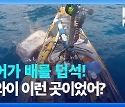 [영상] 순간포착, 하와이 ‘상어습격사건’