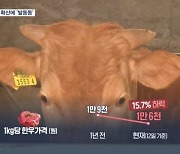 4년 만에 덮친 구제역…한우값 더 떨어질까 '발동동'