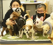 울산 남구, 반려동물축제 '즐겨보개 페스티벌' 21일 개최