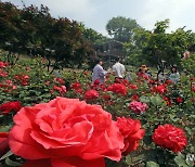 '돌아온 여름의 여왕'