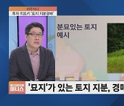 [하우머니] 남의 묘로 월 수천 번다…토지 지분경매가 뭐길래?