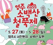 마지막 봄꽃, 연분홍빛 ‘철쭉’의 향연…‘영주 소백산철쭉제’ 27일 개막