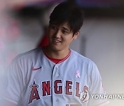 Angels Guardians Baseball