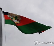 FAO "식량난 아프간, 메뚜기떼로 밀 수확량 4분의 1 사라질수도"