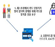 해외서 결제위해 카드 건넸다가 낭패...금감원 주의 당부