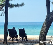 지상낙원이 따로 없네