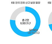 6월 10대 건설사 1만 9159가구 공급… 전년 대비 2.3배