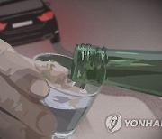 도로변 걷던 부부 치어 아내 사망…음주운전 20대 구속기소