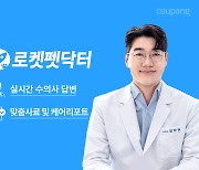 쿠팡, 비대면 수의사 답변 서비스 ‘로켓펫닥터’ 선봬