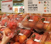 인공지능이 먹거리도 ‘혁신’…맛·품질 검증하고 신상품 기획