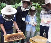 양구 꿀벌 45% 사라졌다… 도내 첫 피해농가 지원