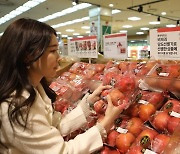 인공지능이 엄선한 ‘사과’ 나왔다...롯데마트, AI로 당도·품질 검증