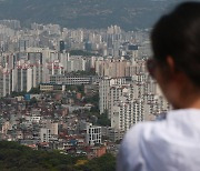 “싼 집만 팔렸는데, 좀 더 비싼집이 팔려요” 금리 하락이 바꾼 부동산 [부동산360]