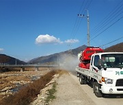 충북 구제역 발생으로 경북도, 유입방지 방역 비상