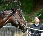 "시원하다 말이야"