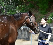 "시원하다 말이야"