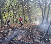 포항 흥해 야산서 산불…44분 만에 진화