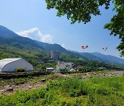 한 달간 하동으로 녹차 마시러 오세요