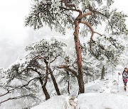 제20회 북부지방산림청 산림사진 공모전