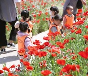 울산 태화강국가정원 19일 봄꽃 축제 개막