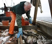 Haddock Overfishing