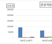 태백시 관광산업 회복세 뚜렷…올해 들어 방문객 급증