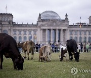 Germany Animals Protest