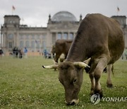 Germany Animals Protest