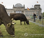 Germany Animals Protest