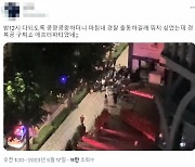 명품이 뭐라고…셀럽 유흥 위해 주거지에서 '애프터파티' 연 구찌 [TEN이슈]